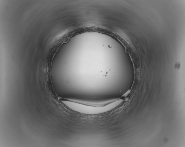 X0000096171111200802081405