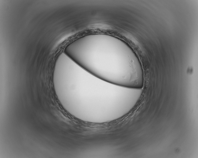 X0000096171112200802081405