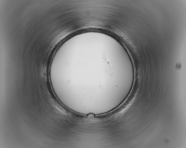 X0000096171113200802081405