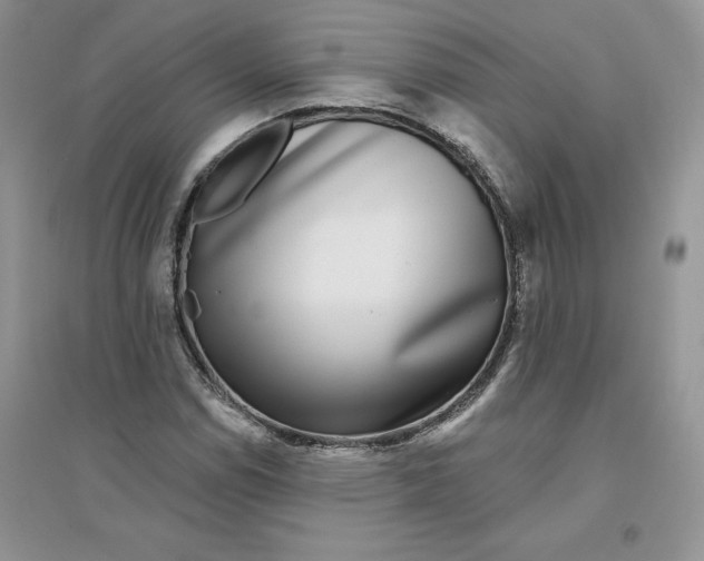 X0000096171114200802081405