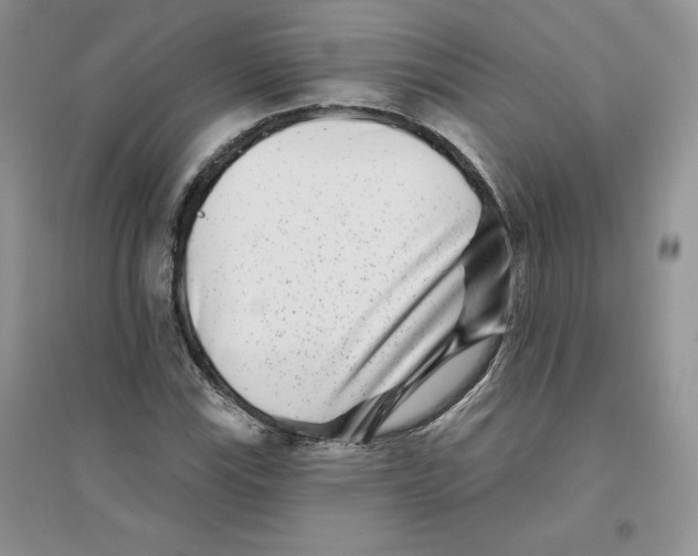 X0000096171115200802081405