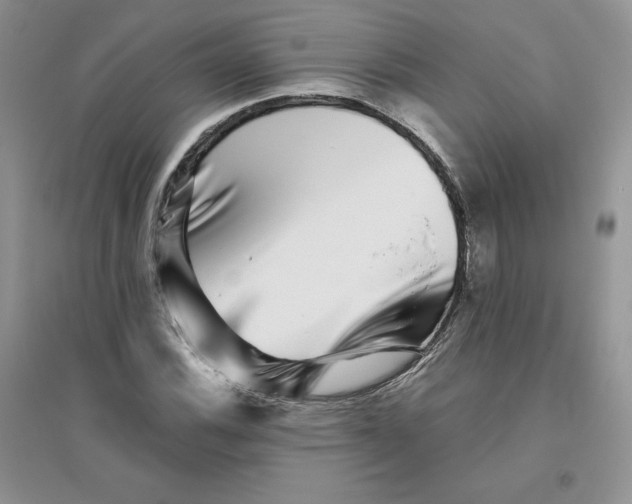 X0000096171116200802081405