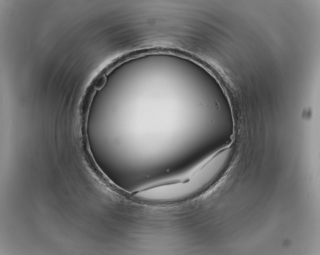 X0000096171118200802081405