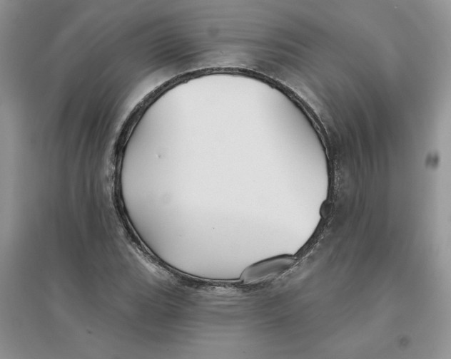 X0000096171119200802081405