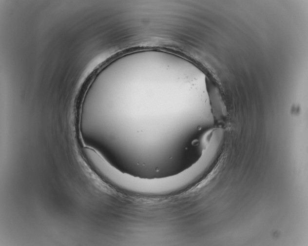 X0000096171122200802081405