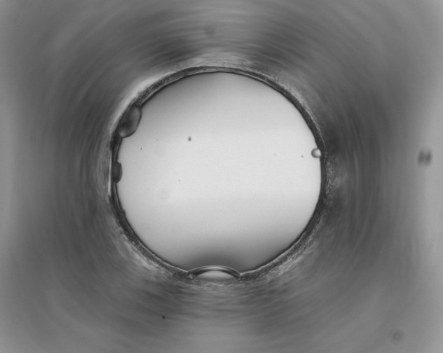 X0000096171123200802081405