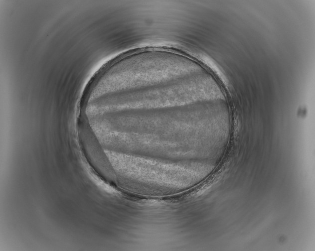 X0000096171124200802081405