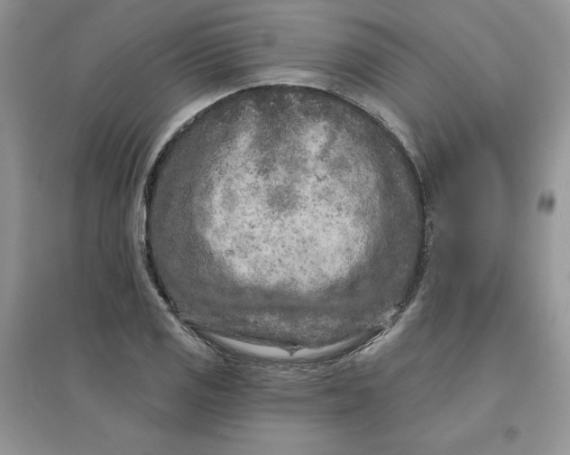 X0000096171125200802081405