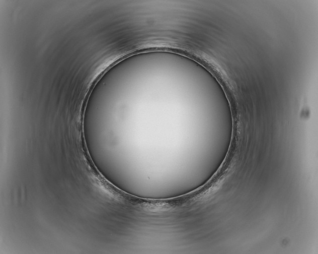 X0000096171129200802081405