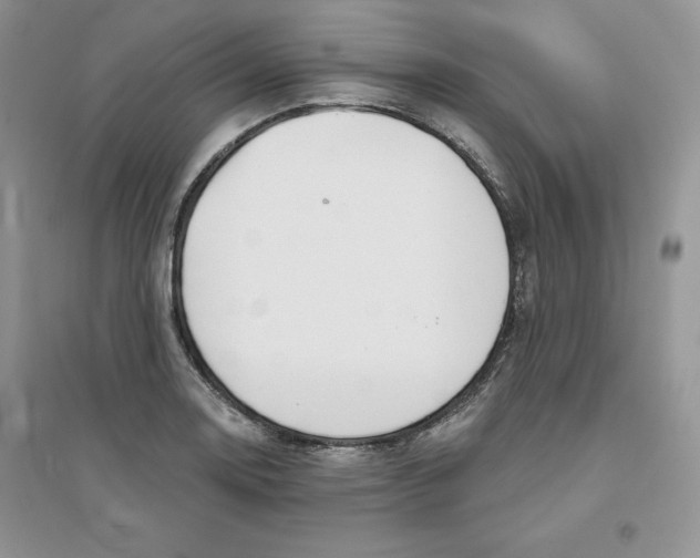 X0000096171130200802081405