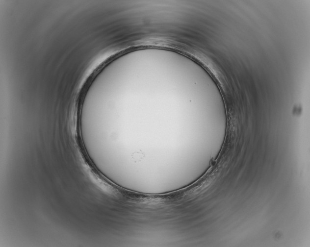 X0000096171131200802081405