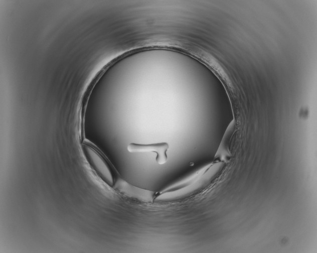 X0000096171132200802081405