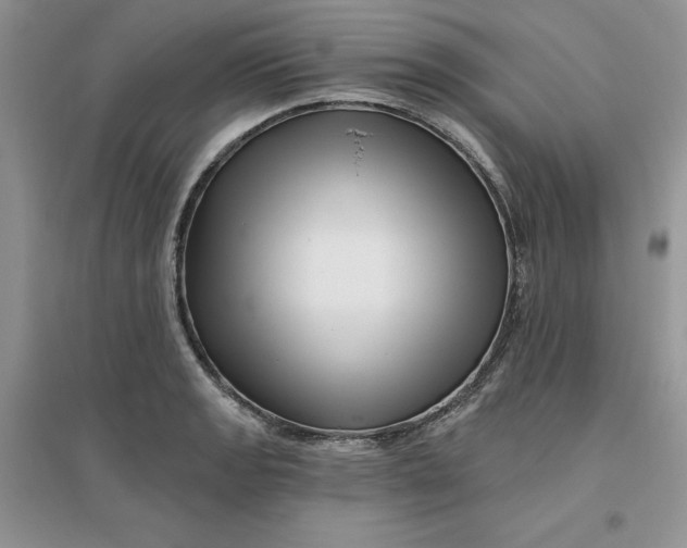 X0000096171133200802081405