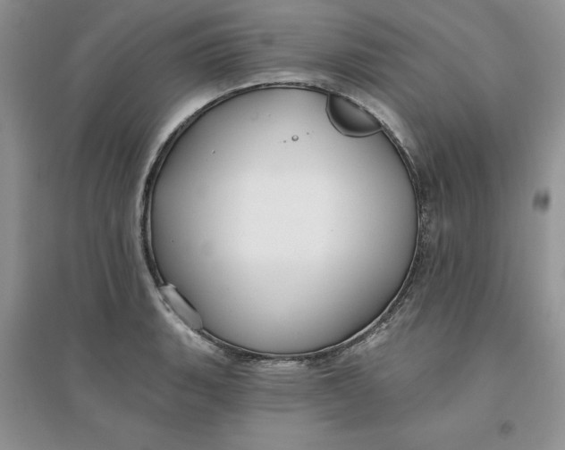 X0000096171135200802081405