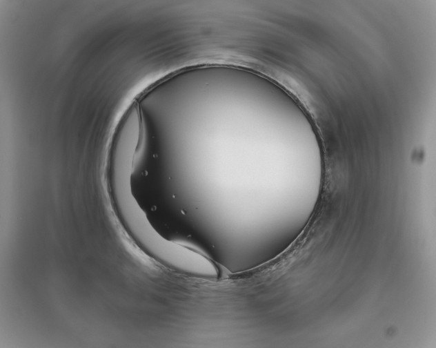 X0000096171136200802081405