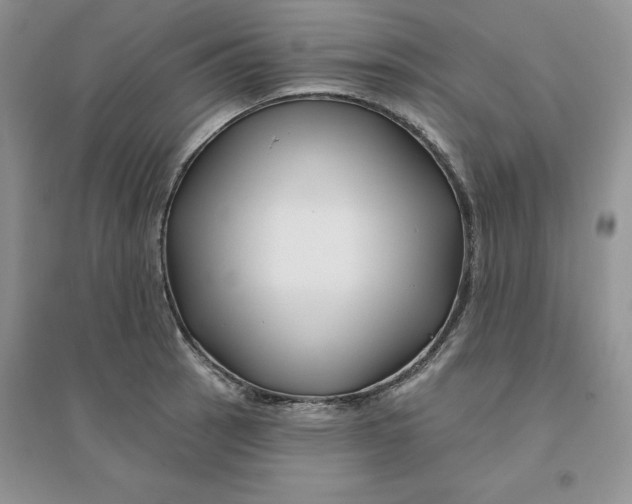 X0000096171137200802081405