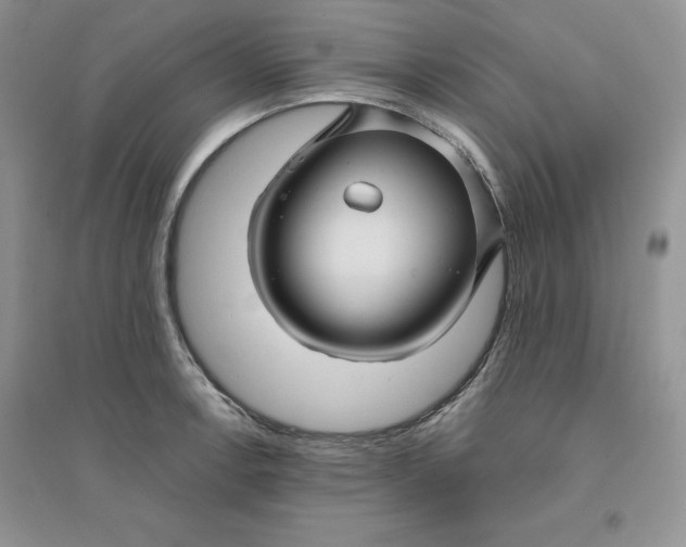 X0000096171138200802081405