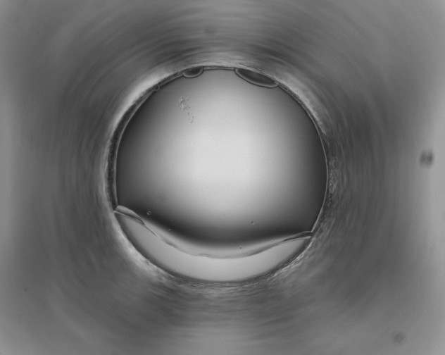 X0000096171139200802081405