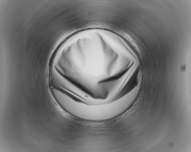 X0000096171140200802081405