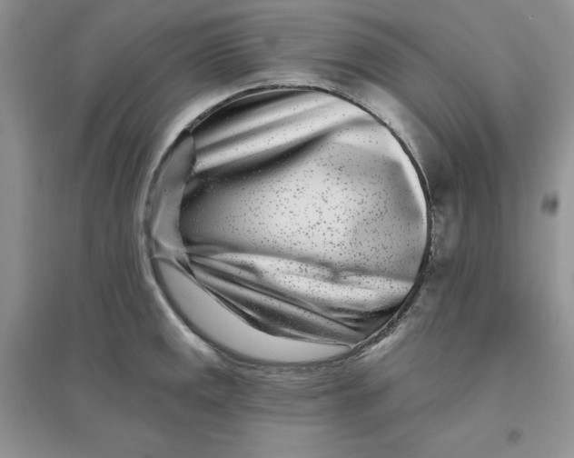 X0000096171141200802081405