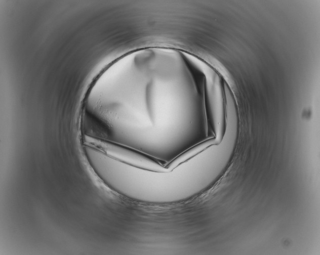 X0000096171144200802081405