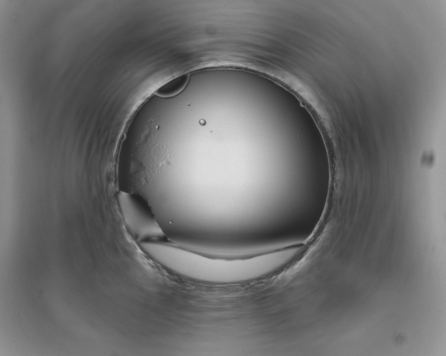 X0000096171145200802081405