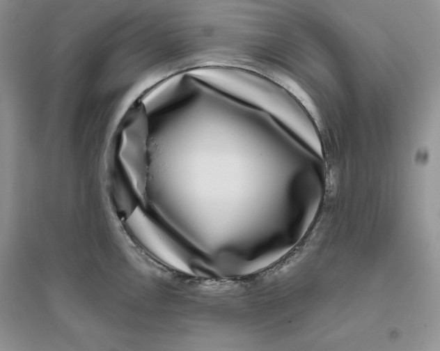 X0000096171146200802081405