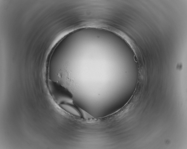 X0000096171147200802081405