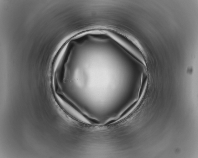 X0000096171148200802081405