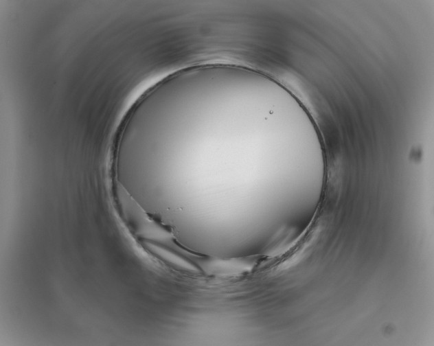 X0000096171149200802081405