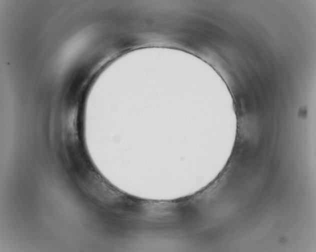 X0000096171150200802081405