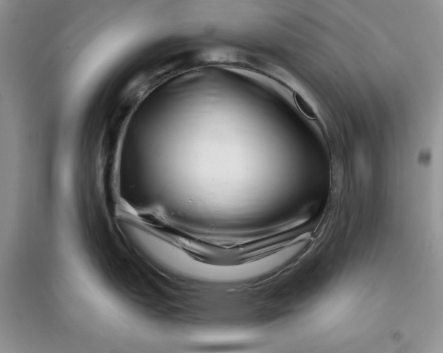 X0000096171151200802081405