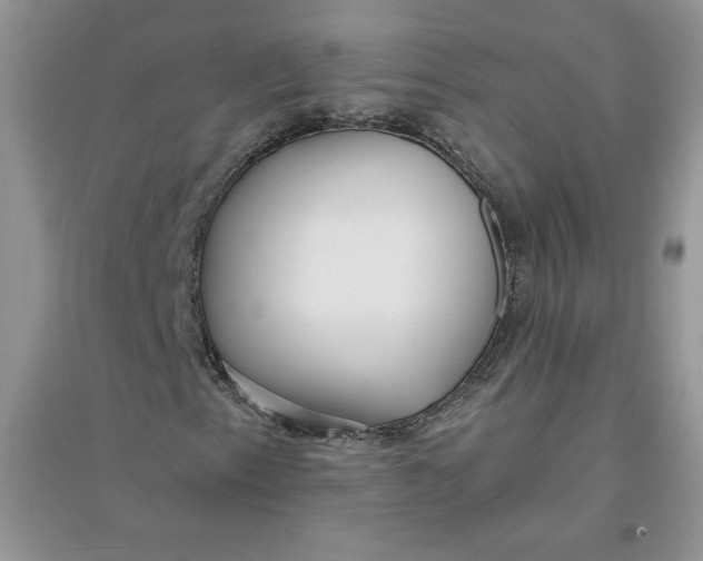 X0000096171153200802081405