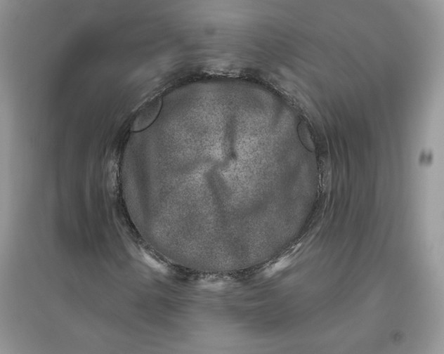 X0000096171154200802081405