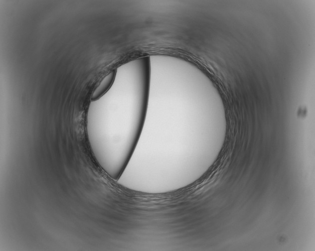 X0000096171156200802081405