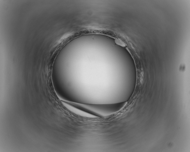 X0000096171157200802081404