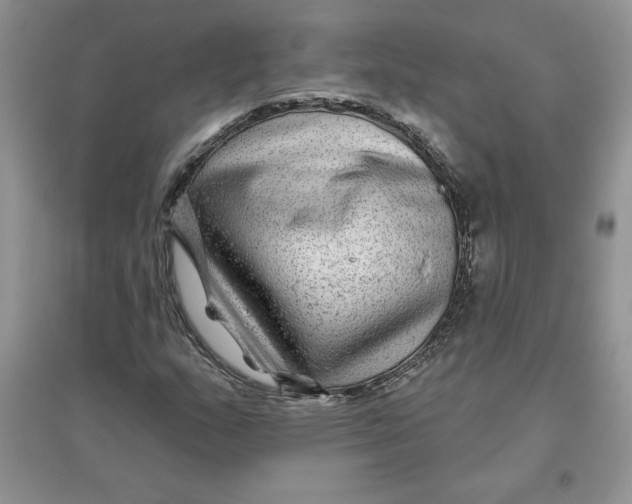 X0000096171159200802081404