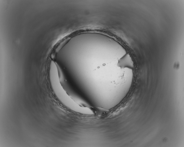 X0000096171160200802081404