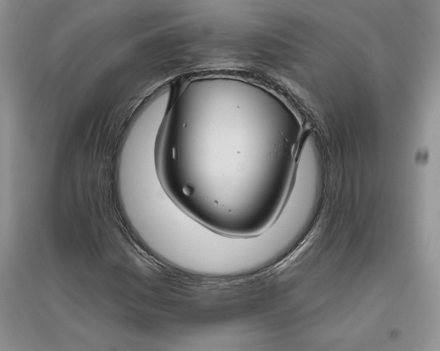 X0000096171161200802081404