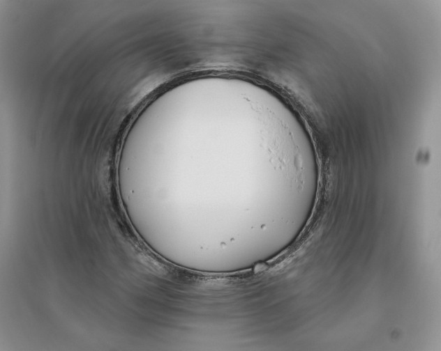 X0000096171162200802081404