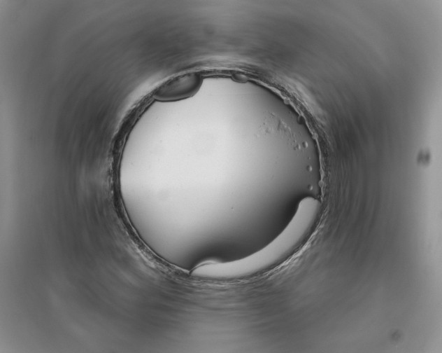 X0000096171164200802081404