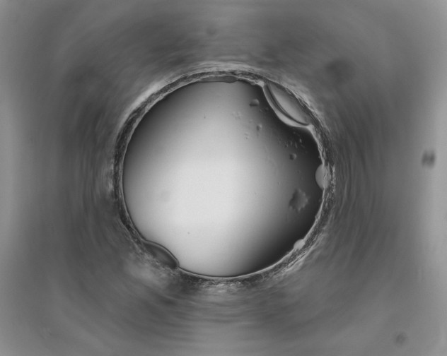 X0000096171165200802081404