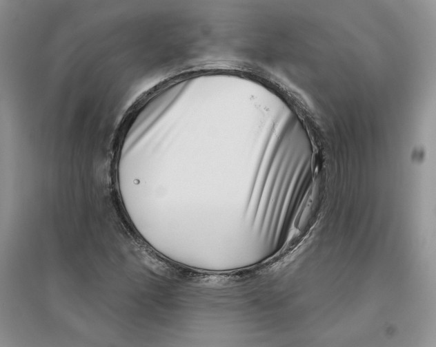 X0000096171166200802081404