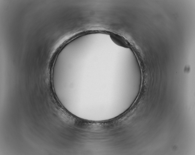 X0000096171167200802081404