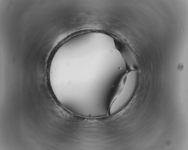 X0000096171168200802081404