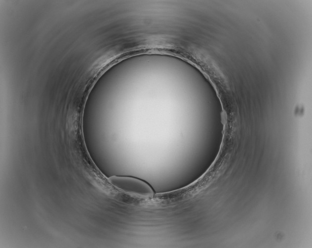 X0000096171169200802081404