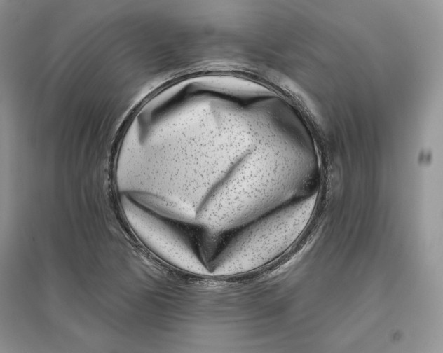 X0000096171170200802081404