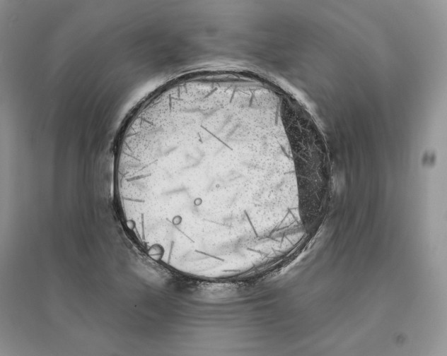 X0000096171171200802081404