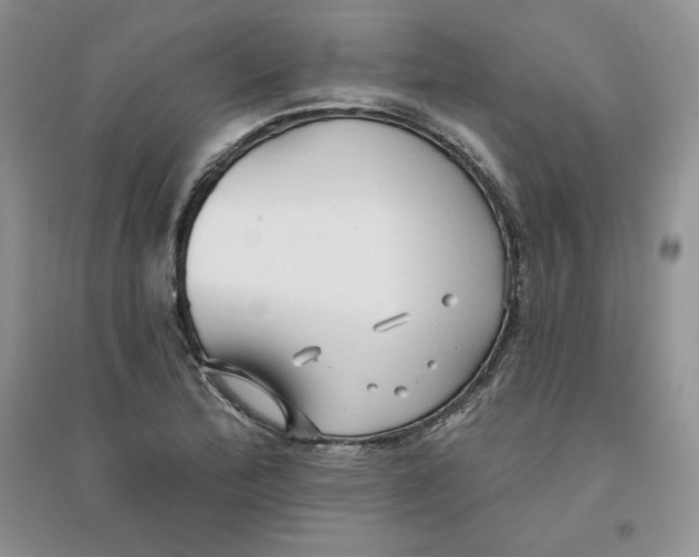 X0000096171172200802081404