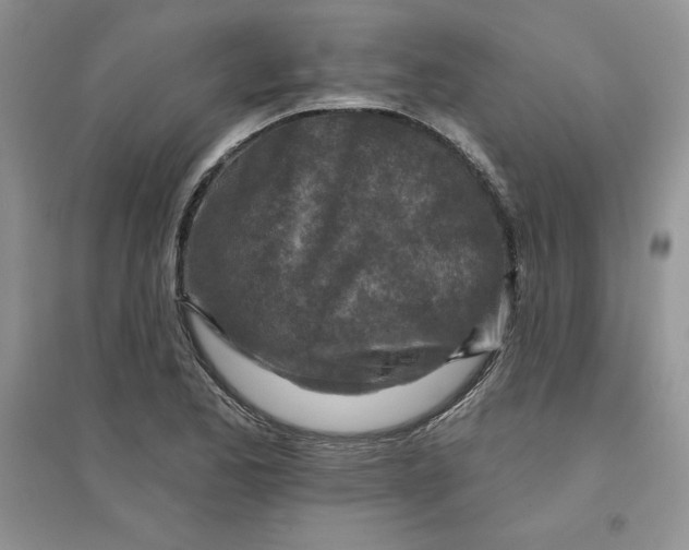 X0000096171173200802081404